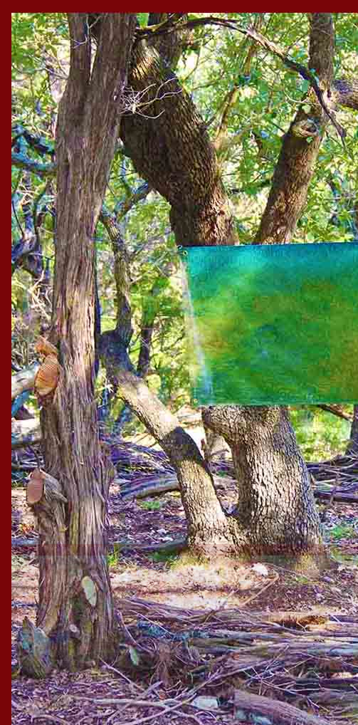 Houston Artist Art Galleries