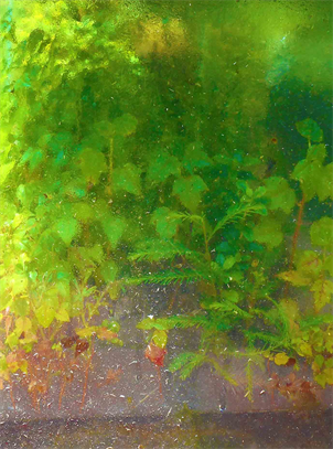 Living Walls