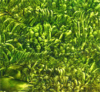 One Inch Of Painting
Contemporary Art?
